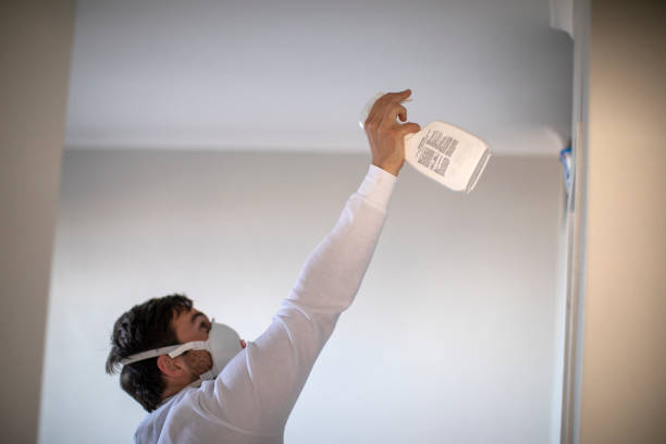 Best Toxic Mold Removal  in Zuni Pueblo, NM